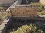 Объявление №5965723 - Ширван, Ширван, 6 сот