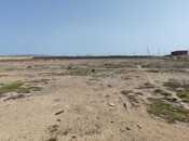 Продаётся  участок 250 сот, Бинагадинский р., photo 3 from 8