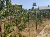 Satılır  torpaq 20 sot, Binə q., photo 2 from 5