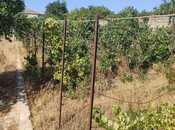 Satılır  torpaq 20 sot, Binə q., photo 3 from 5