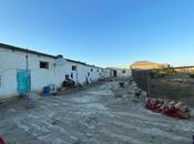 Satılır  torpaq 50 sot, Yeni Ramana q., photo 4 from 8