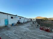 Satılır  torpaq 50 sot, Yeni Ramana q., photo 8 from 8