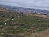 Объявление №5966593 - Баку, м. Ходжасан, 10 сот