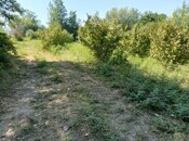 Объявление №5966887 - Худат, Худат, 8 сот