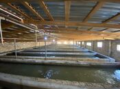 Satılır  obyekt 150 m², photo 5 from 8