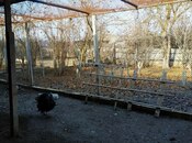 Satılır 11 otaqlı həyət evi/bağ evi 370 m², photo 3 from 8