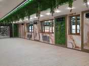 İcarəyə verilir  obyekt 1 250 m², Dərnəgül m., photo 8 from 8