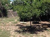 Объявление №5967675 - Ленкорань, Ленкорань, 6 сот