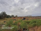 Объявление №5967711 - Ширван, Ширван, 90 сот