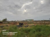 Продаётся  участок 90 сот, photo 3 from 7