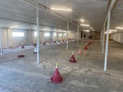 İcarəyə verilir  obyekt 550 m², photo 3 from 6