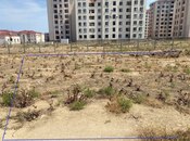 Объявление №5967937 - Баку, пос. Ени Романы, 6 сот
