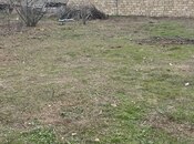 Объявление №5968055 - Баку, пос. Мехтиабад, 6 сот