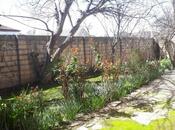 Satılır 2 otaqlı həyət evi/bağ evi 70 m², Xaçmaz r., photo 5 from 7