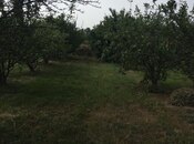 Объявление №5968383 - Хачмаз, Хачмаз, 69 сот