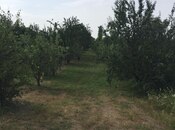 Satılır  torpaq 69 sot, Xaçmaz r., photo 2 from 8