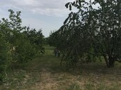 Satılır  torpaq 69 sot, Xaçmaz r., photo 4 from 8