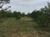 Satılır  torpaq 69 sot, Xaçmaz r., photo 5 from 8