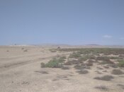 Satılır  torpaq 2 500 sot, Ələt q., photo 7 from 8