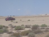 Satılır  torpaq 2 500 sot, Ələt q., photo 6 from 8