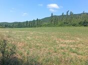 Продаётся  участок 20 сот, photo 5 from 8