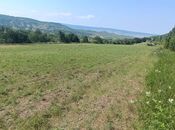 Продаётся  участок 20 сот, photo 4 from 8