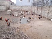 Elan №5969398 - Bakı, Yeni Ramana q., 3 sot