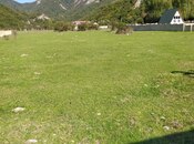 Elan №5969846 - Oğuz, Oğuz, 12 sot