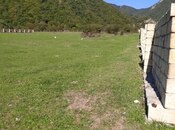 Satılır  torpaq 12 sot, photo 2 from 8