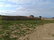 Продаётся  участок 14 сот, пос. Мамедли, photo 7 from 8