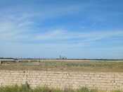 Satılır  torpaq 500 sot, Zirə q., photo 2 from 4