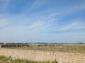 Elan №5970672 - Bakı, Zirə q., 500 sot