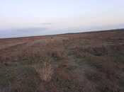 Elan №5970740 - Göyçay, Göyçay, 217 sot