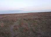 Satılır  torpaq 217 sot, photo 6 from 6