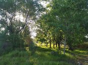 Продаётся  объект 300 м², photo 6 from 8