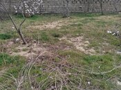 Elan №5971612 - Bakı, Görədil q., 4.8 sot