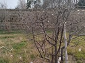 Satılır  torpaq 5 sot, Görədil q., photo 5 from 5