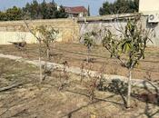 Elan №5971850 - Bakı, Novxanı q., 4 sot