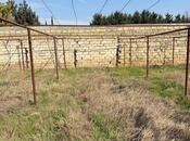 Satılır  torpaq 4 sot, Novxanı q., photo 8 from 8