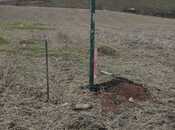 Elan №5972124 - Quba, Quba, 8 sot