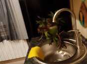 Сдаётся 1-комн. вторичка 32 м², м. Ичеришехер, photo 7 from 8