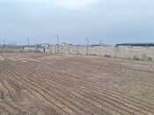 Satılır  torpaq 12 sot, Nardaran q., photo 6 from 8