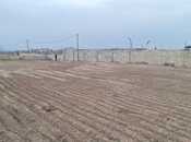 Elan №5972350 - Bakı, Nardaran q., 12 sot