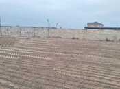 Satılır  torpaq 12 sot, Nardaran q., photo 8 from 8