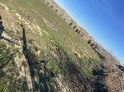 Satılır  torpaq 4 sot, Digah q., photo 4 from 4