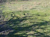 Satılır  torpaq 4 sot, Digah q., photo 2 from 4