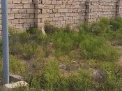 Продаётся  участок 2 сот, пос. Рамана, photo 5 from 5