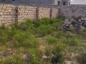 Продаётся  участок 2 сот, пос. Рамана, photo 4 from 5