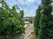 İcarəyə verilir 5 otaqlı həyət evi/bağ evi 500 m², Buzovna q., photo 8 from 8