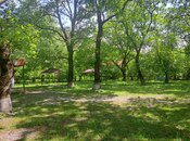 Satılır  torpaq 60 sot, photo 8 from 8